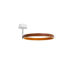 Потолочный светильник DeLight Collection MX18001059-1M coffee/black