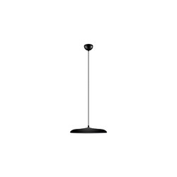 Подвесной светильник Loft IT Plato 10119 Black