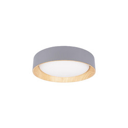 Потолочный светильник Loft IT Coin 10202 Grey