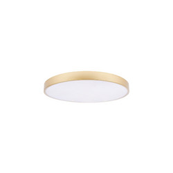 Потолочный светильник Loft IT Flims 10228/B