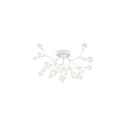Потолочная люстра Freya Florencia FR5049CL-27W2