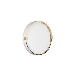 Настенно-потолочный светильник Sonex Olidi white 7646/CL