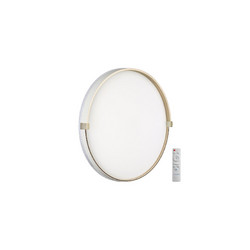 Настенно-потолочный светильник Sonex Olidi white 7646/EL