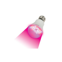 Лампа светодиодная для растений (09645) Uniel E27 9W прозрачная LED-A60-9W/SP/E27/CL ALM01WH