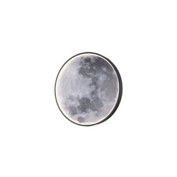 Настенно-потолочный светильник Escada Planet 10226/SG LED Moon