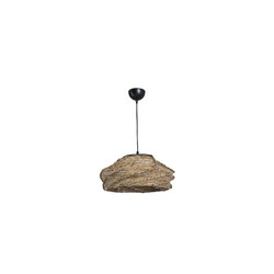 Подвесной светильник Toplight Ruth TL1633H-01B1