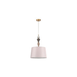 Подвесной светильник Odeon Light Homi 5040/1