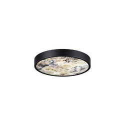 Настенно-потолочный светильник Odeon Light Bergi 5064/24L
