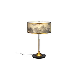 Настольная лампа Odeon Light Bergi 5064/2T