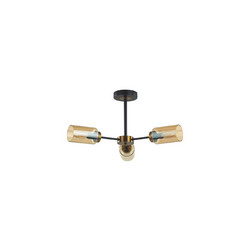 Люстра на штанге Lumion Dallin 5640/3C