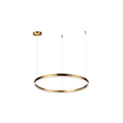 Подвесной светильник Lumion Echo 6531/50L