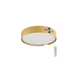 Потолочный светильник Sonex Coraggio 7721/120L