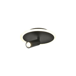 Настенно-потолочный светильник Escada 20046SMA/01LED BK
