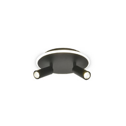 Настенно-потолочный светильник Escada 20046SMA/02LED BK