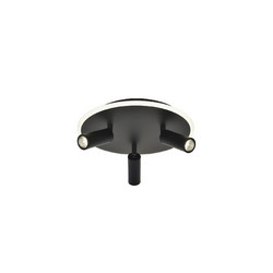 Потолочный светильник Escada 20046SMA/03LED BK