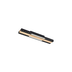 Потолочный светильник F-Promo Zebra 4440-2C