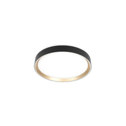 Потолочный светильник Citilux Boss CL751351G