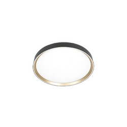 Потолочный светильник Citilux Boss CL751451G