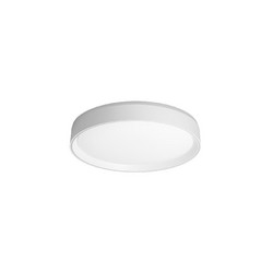 Потолочный светильник Citilux Boss CL751350G