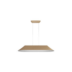 Подвесной светильник ST Luce Sentito SL3001.813.01