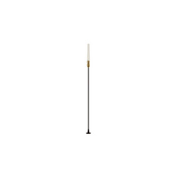 Ландшафтный светильник Odeon Light Canna 7020/4GA