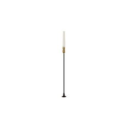 Ландшафтный светильник Odeon Light Canna 7020/4GL