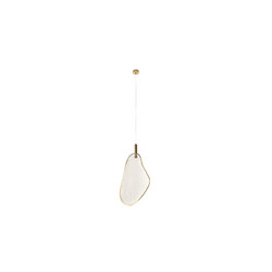 Подвесной светильник Loft IT Leaf 10349/M