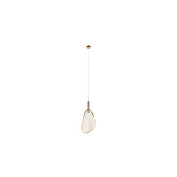 Подвесной светильник Loft IT Leaf 10349/S