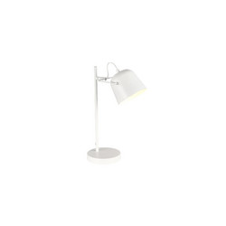Настольная лампа Evoluce Blank SLE1805-504-01