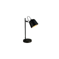 Настольная лампа Evoluce Blank SLE1805-404-01