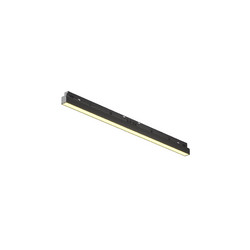 Трековый магнитный светильник Maytoni Basis TR030-2-24W2.7K-B
