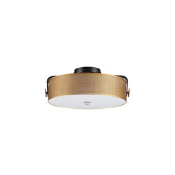 Потолочный светильник Lumion Drumy 6597/40L