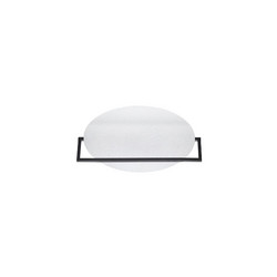 Настенно-потолочный светильник Odeon Light Lunar 7015/20WL