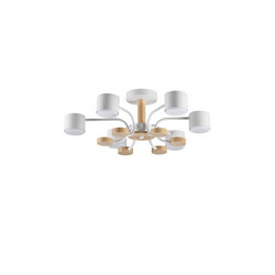 Люстра на штанге Lumion Rondo 8231/6C