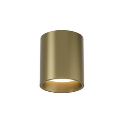 Накладной светильник Denkirs Shine tube DK2610-SB