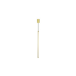 Подвесной светильник Indigo Linea 14024/B/1P Brass V000128L