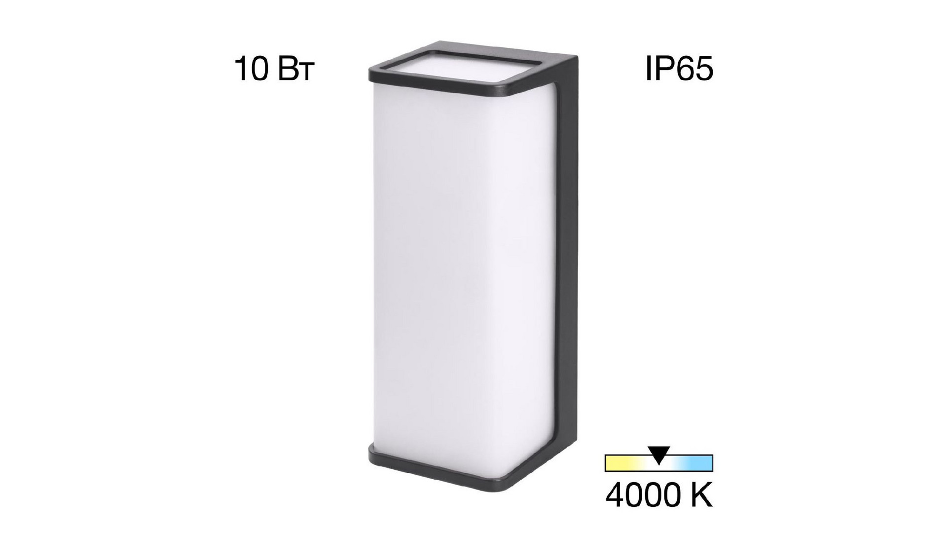 Уличный настенный светильник Citilux Domus CLU0802