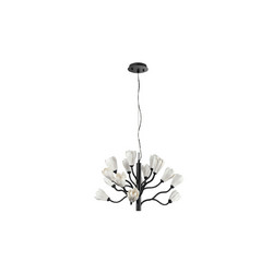 Подвесная люстра Odeon Light Gardi Modern 5090/15