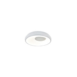 Потолочный светильник Indigo Cratere 14016/1С White V000152L