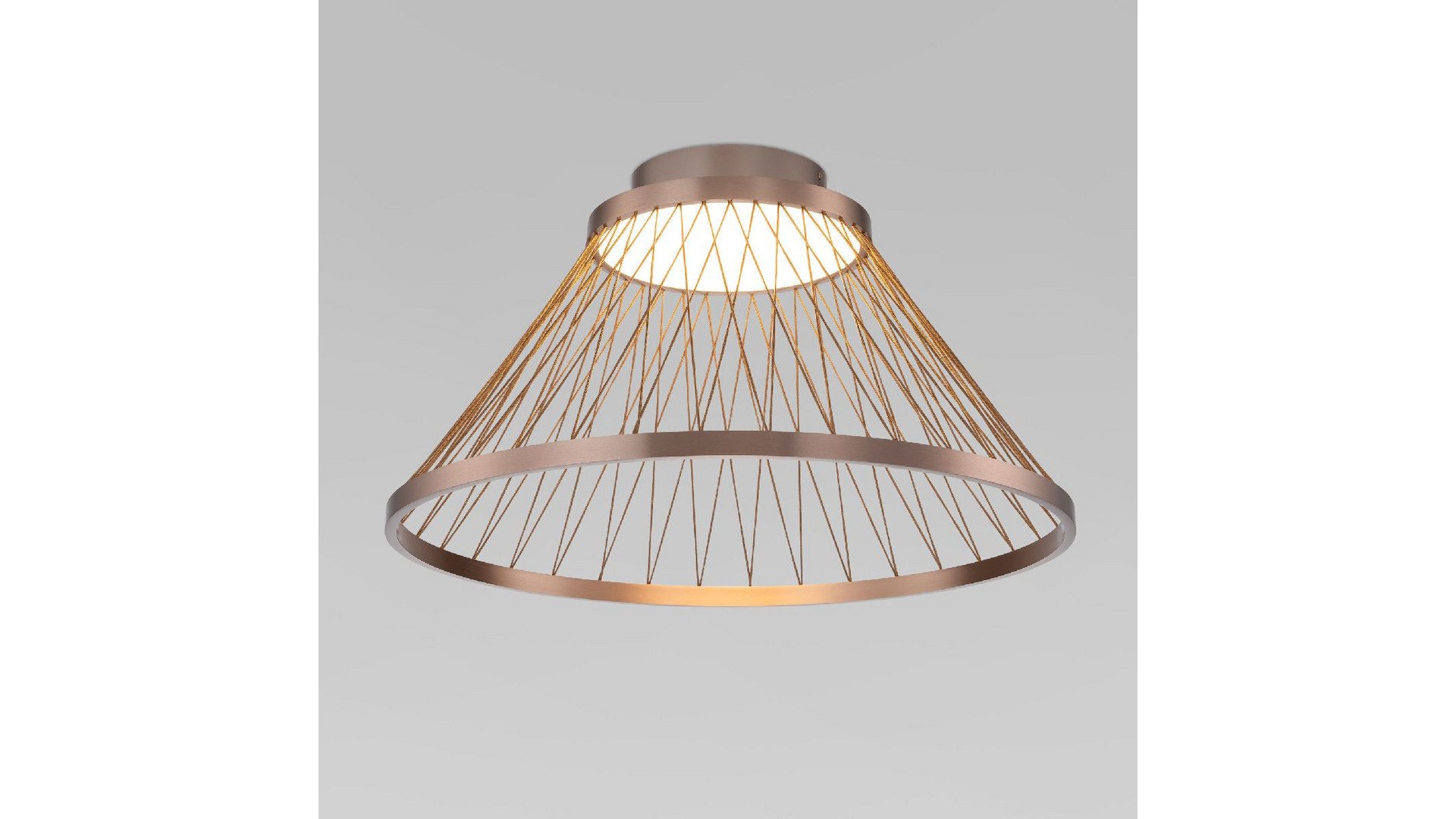 Потолочная люстра Eurosvet Cesta 40019/1 LED коричневый a069291