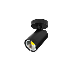Спот Lightstar Rullo 213407