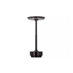 Настольная лампа Kink Light Ренна 07207-T,19