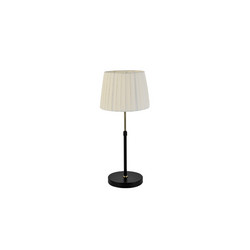 Настольная лампа Lumion Moderni Tune 8302/1T