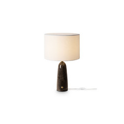 Настольная лампа Freya MarmoLatte FR2054TL-01BS2