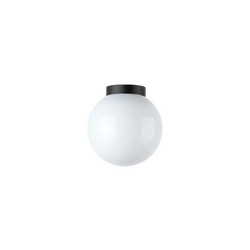 Уличный потолочный светильник Lightstar Bolla 373010
