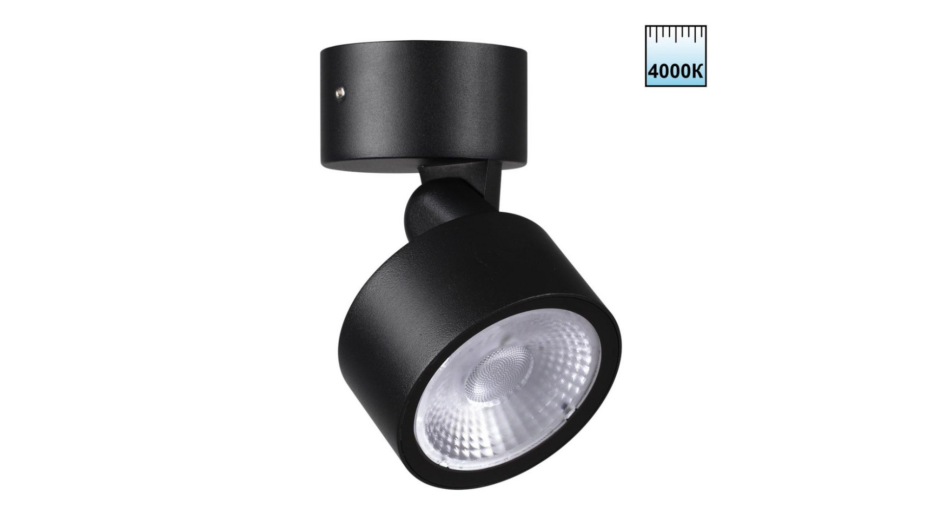 Уличный потолочный светильник Novotech Street Focus 359589