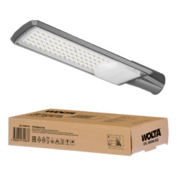 Уличный консольный светильник WOLTA STL-100W/02