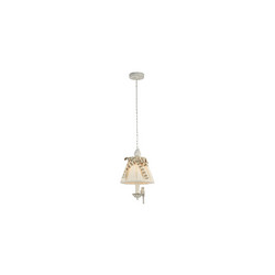 Подвесной светильник Maytoni Bird ARM013-PL-01-W