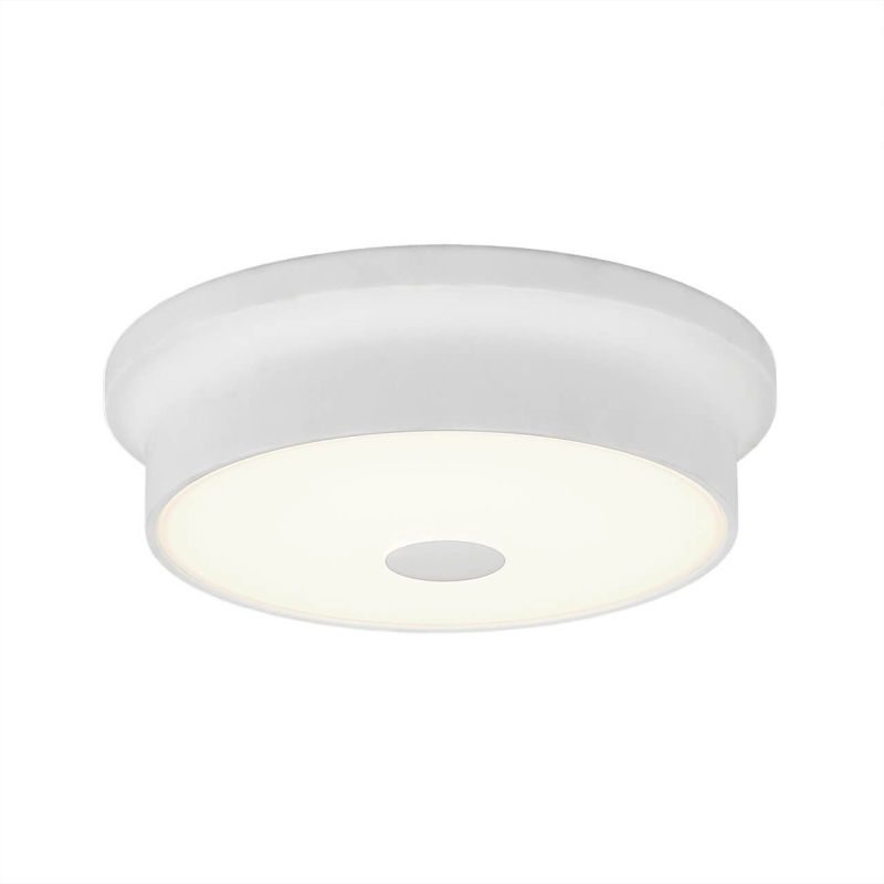 Потолочный светодиодный светильник Citilux Фостер-2 CL706210