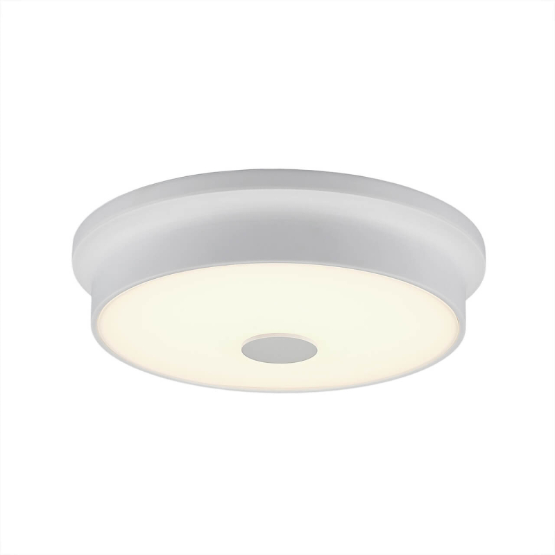 Потолочный светодиодный светильник Citilux Фостер-2 CL706220